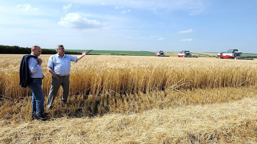 Putin besucht eine Landwirtschafts-Kooperative